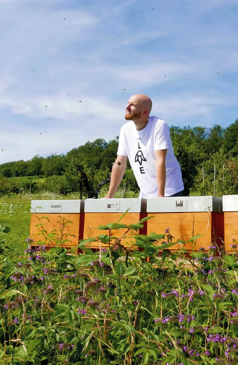Bienenpatenschaft-Beuten-auf-Wiese-hoch