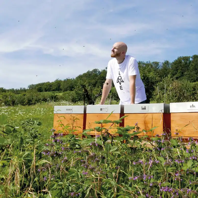 Bienenpatenschaft Beuten auf Wiese